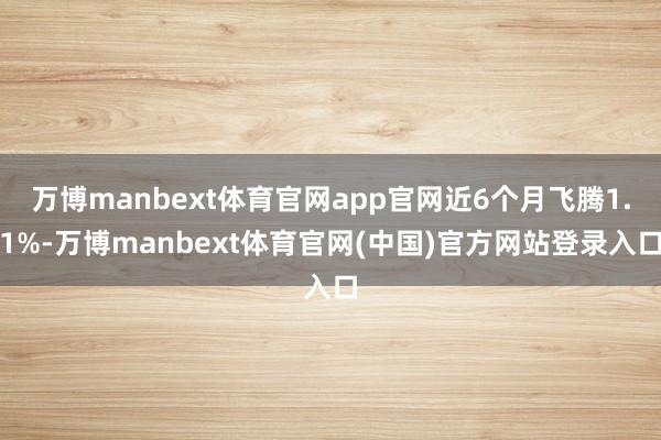 万博manbext体育官网app官网近6个月飞腾1.1%-万博manbext体育官网(中国)官方网站登录入口