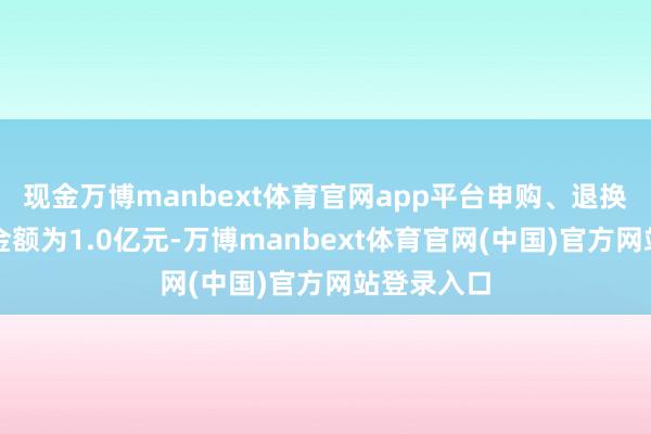 现金万博manbext体育官网app平台申购、退换转入上限金额为1.0亿元-万博manbext体育官网(中国)官方网站登录入口