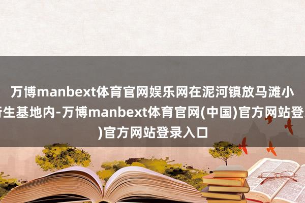 万博manbext体育官网娱乐网在泥河镇放马滩小龙虾衍生基地内-万博manbext体育官网(中国)官方网站登录入口