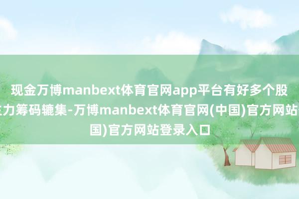现金万博manbext体育官网app平台有好多个股都餍足主力筹码辘集-万博manbext体育官网(中国)官方网站登录入口