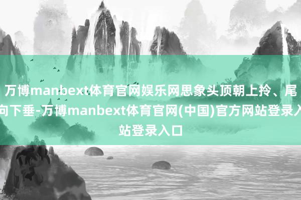 万博manbext体育官网娱乐网思象头顶朝上拎、尾闾向下垂-万博manbext体育官网(中国)官方网站登录入口